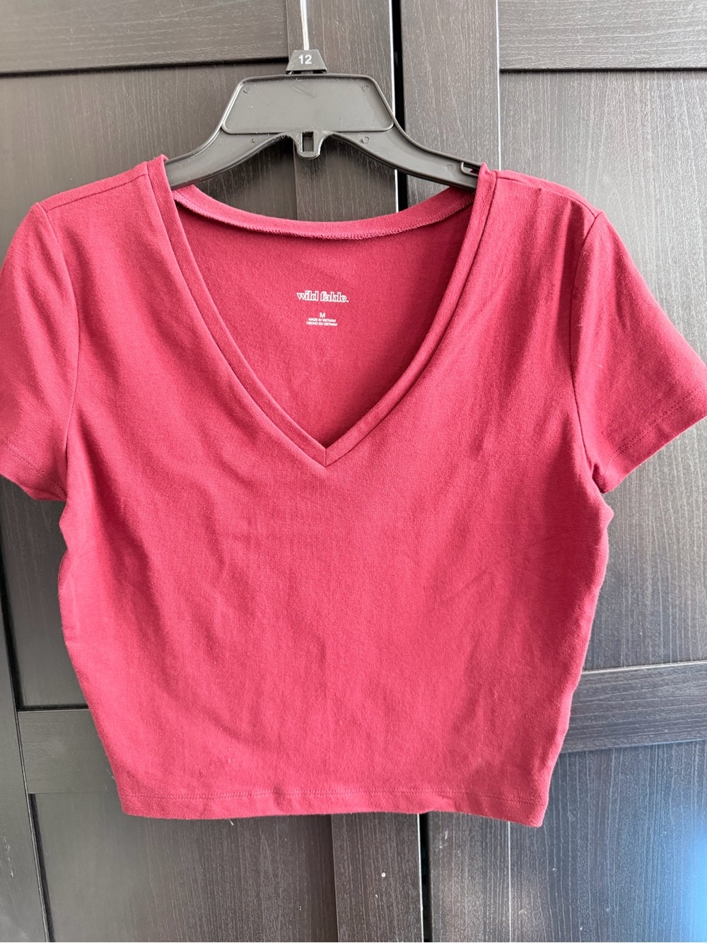 Berry Maroon V-Neck Cropped Top